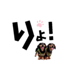 こてつ＆さく④（個別スタンプ：14）
