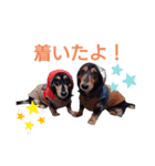 こてつ＆さく④（個別スタンプ：16）