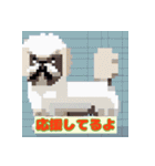 動物の日常会話スタンプ2（個別スタンプ：19）