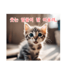 새끼 고양이 스탬프2（個別スタンプ：2）