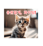 새끼 고양이 스탬프2（個別スタンプ：3）