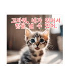 새끼 고양이 스탬프2（個別スタンプ：4）