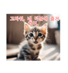 새끼 고양이 스탬프2（個別スタンプ：5）