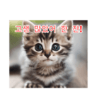 새끼 고양이 스탬프2（個別スタンプ：6）