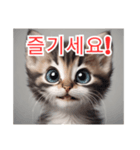 새끼 고양이 스탬프2（個別スタンプ：8）