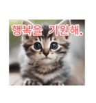 새끼 고양이 스탬프2（個別スタンプ：9）