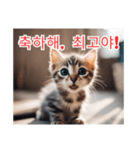 새끼 고양이 스탬프2（個別スタンプ：11）