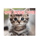 새끼 고양이 스탬프2（個別スタンプ：12）