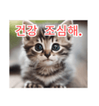 새끼 고양이 스탬프2（個別スタンプ：13）