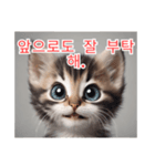 새끼 고양이 스탬프2（個別スタンプ：15）