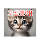 새끼 고양이 스탬프2（個別スタンプ：19）