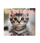 새끼 고양이 스탬프2（個別スタンプ：20）