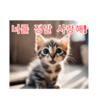 새끼 고양이 스탬프2（個別スタンプ：21）