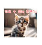 새끼 고양이 스탬프2（個別スタンプ：22）