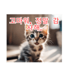 새끼 고양이 스탬프2（個別スタンプ：24）