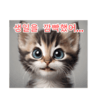 새끼 고양이 스탬프2（個別スタンプ：27）