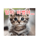 새끼 고양이 스탬프2（個別スタンプ：28）