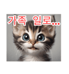 새끼 고양이 스탬프2（個別スタンプ：30）