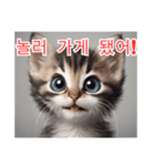 새끼 고양이 스탬프2（個別スタンプ：32）