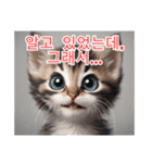 새끼 고양이 스탬프2（個別スタンプ：35）