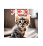 새끼 고양이 스탬프2（個別スタンプ：39）