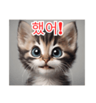 새끼 고양이 스탬프2（個別スタンプ：40）