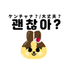 プリンうさぎ【日本語＆韓国語ver.】（個別スタンプ：12）
