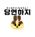 プリンうさぎ【日本語＆韓国語ver.】（個別スタンプ：25）