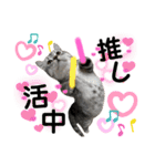 ねこの銀次くん4（個別スタンプ：1）