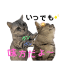 ねこの銀次くん4（個別スタンプ：21）