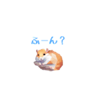 ハムスターの日常スタンプ 1（個別スタンプ：17）
