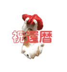 ダメ猫のスタンプ2（個別スタンプ：32）