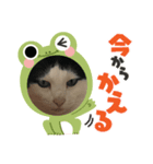 ハチミツたろー（個別スタンプ：7）