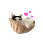 ハチミツたろー（個別スタンプ：8）