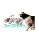 こぶしちゅっちゅまる·͜·✌︎ FCスタンプ（個別スタンプ：6）