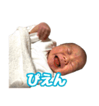 こぶしちゅっちゅまる·͜·✌︎ FCスタンプ（個別スタンプ：28）