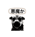 つぶやきがちな犬 あむちゃん（個別スタンプ：1）