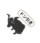 つぶやきがちな犬 あむちゃん（個別スタンプ：4）