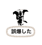 つぶやきがちな犬 あむちゃん（個別スタンプ：6）
