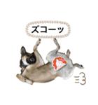 つぶやきがちな犬 あむちゃん（個別スタンプ：21）