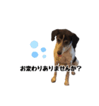 麗しの麗子ちゃん（個別スタンプ：6）