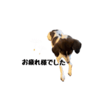 麗しの麗子ちゃん（個別スタンプ：8）