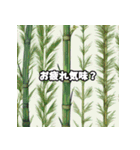 自然の息吹: 植物スタンプコレクション3（個別スタンプ：21）