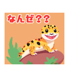 かわいいレオパードゲッコウ LINEスタンプ（個別スタンプ：17）