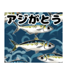 アジ、アジング好き向け（個別スタンプ：4）