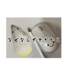 マウスF（個別スタンプ：3）
