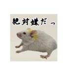 マウスF（個別スタンプ：5）