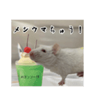 マウスF（個別スタンプ：6）