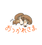 動物かくれんぼ4（個別スタンプ：4）