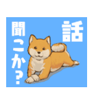 連絡用柴犬（個別スタンプ：19）